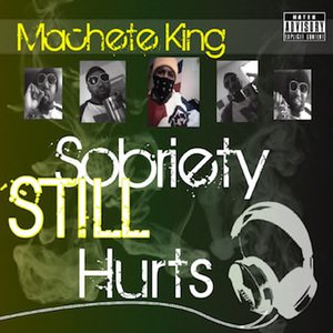 Изображение для 'Sobriety STILL Hurts'