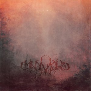 Mind Mold 的头像