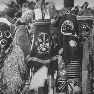 Bipolar Bear photo provided by Last.fm