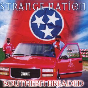 Southern Breaded