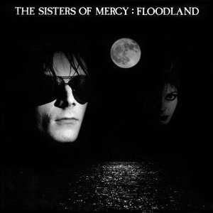 Floodland [Explicit]