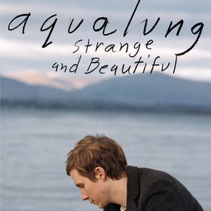 “Strange & Beautiful”的封面