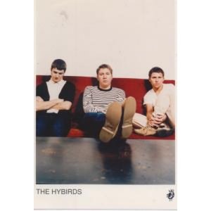 The Hybirds 的头像