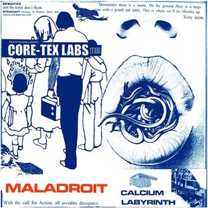Calcium Labyrinth