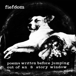 poems written before jumping out of an 8 story window