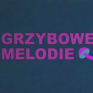 Avatar for Grzybowe Melodie