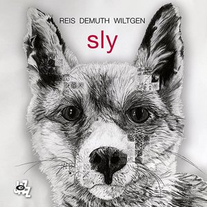 “sly”的封面
