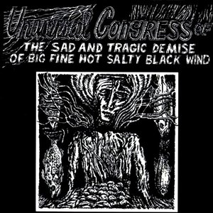 The Sad and Tragic Demise of Big Fine Salty Black Wind