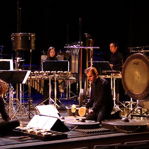 Percussions de Strasbourg 的头像