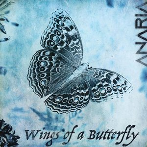 Wings of a Butterfly