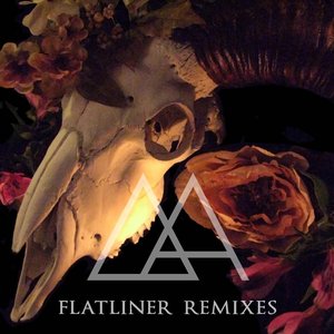 FLATLINER REMIXES