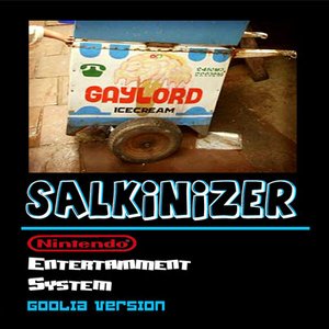 Image for 'salkinizer'