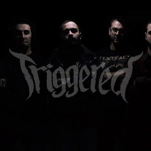 TRIGGERED OFFICIAL 的头像
