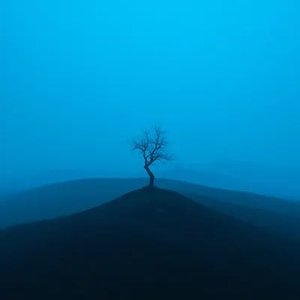 memory reset