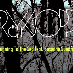 Röyksopp feat. Susanne Sundfor 的头像