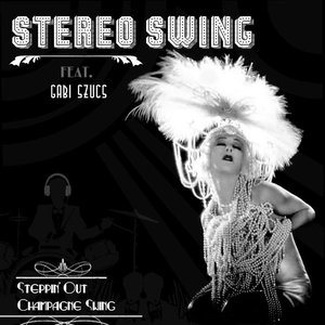 Image for 'Stereo Swing'