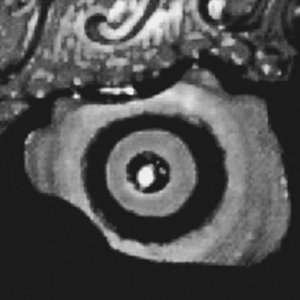 Avatar für Tantric Bile