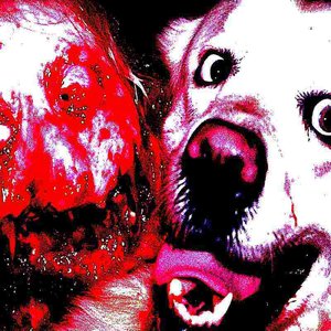 Avatar for Pulled Apart By Dogs