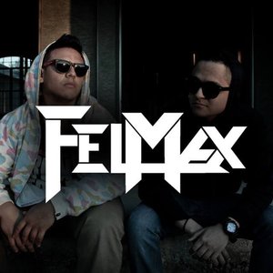 FelMax のアバター