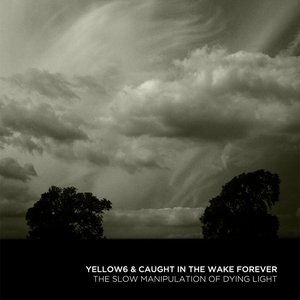Yellow6 & Caught In The Wake Forever 的头像