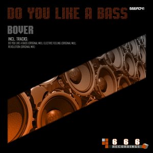 Do You Like a Bass