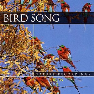 Bird Song: Nature Recordings