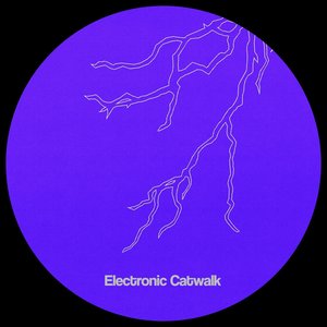 Electronic Catwalk