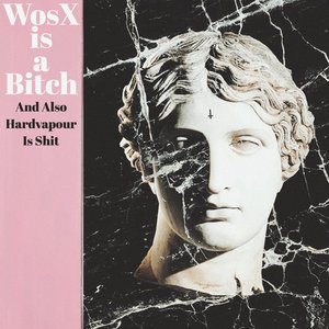 WosX Is A Bitch: And Also Hardvapour Is Shit