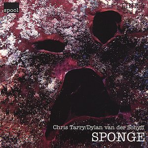Sponge