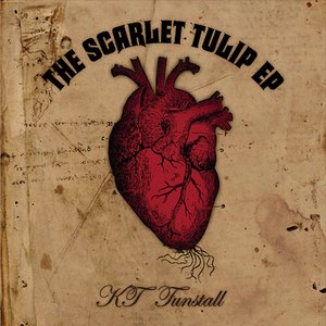 The Scarlet Tulip