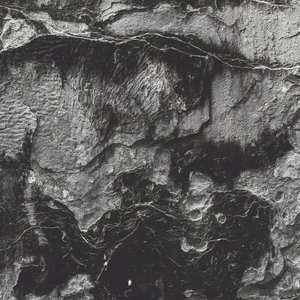 Contortion - Single