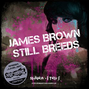James Brown Still Breeds