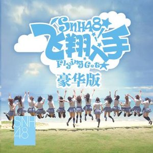 飞翔入手