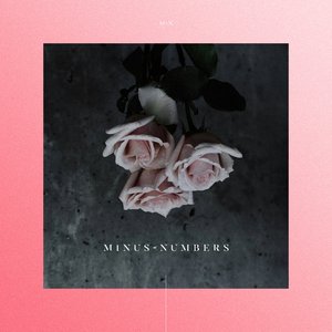 Minus Numbers