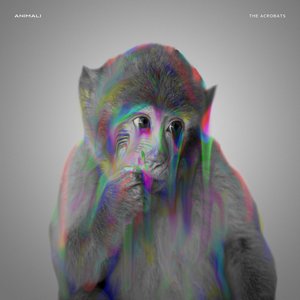 The Acrobats - Single