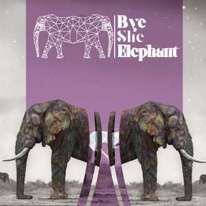 Bye She Elephant 的头像