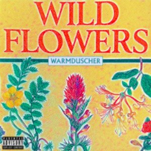 Wild Flowers