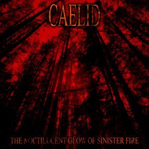 The Noctilucent Glow of Sinister Fire