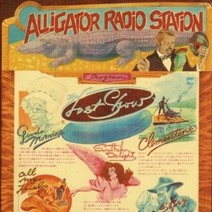 アリゲーター・ラジオ・ステーション