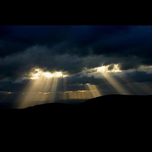 The Night Time - Single