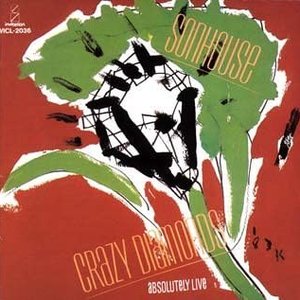 Crazy Diamonds [Absolutely Live]