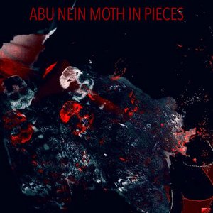 Moth in Pieces