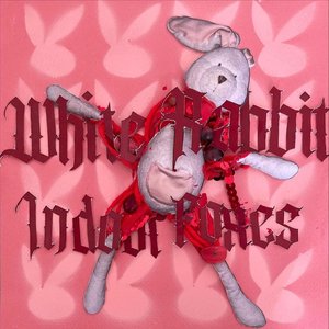 White Rabbit