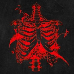 Toxicity - Single