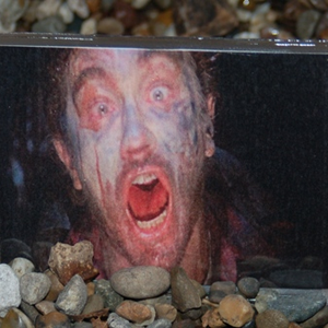 Dead Shall Not Have Died in Vain photo provided by Last.fm