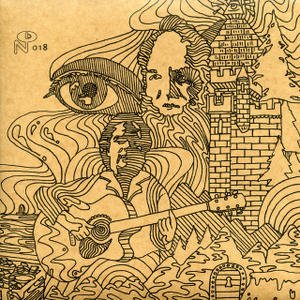 Immagine per 'Wayfaring Strangers: Guitar Soli'
