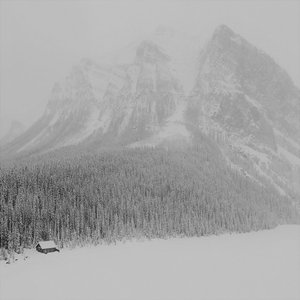 True North