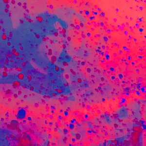 Lucid
