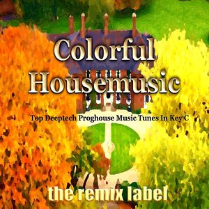 Colorful Housemusic (Top Deeptech Proghouse Music Tunes In Key C)