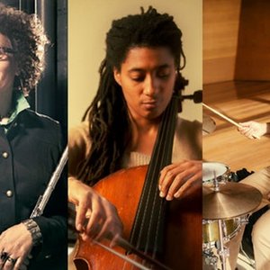 Nicole Mitchell, Tomeka Reid & Mike Reed 的头像